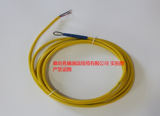 ZS-11   12T煤仓测温电缆