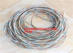 防水测温电缆 硅胶封死 管外皮