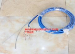 防水铠装测温电缆