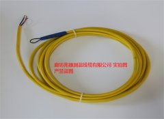 交联聚乙烯抗高温测温电缆