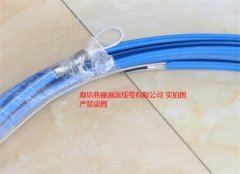 立筒仓双钢丝测温电缆